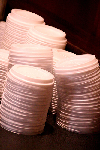 cup lids photo