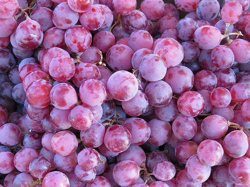 grapes photo
