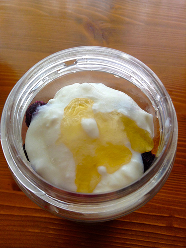 yogurt honey photo