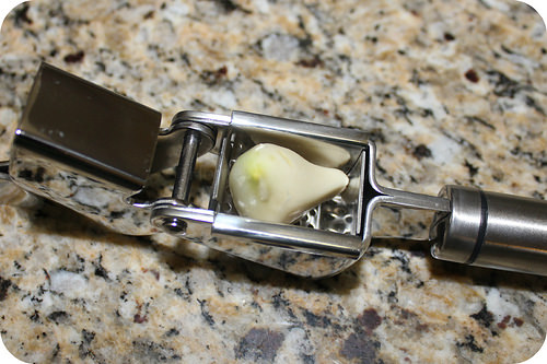 garlic press photo