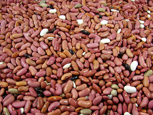 dried beans photo