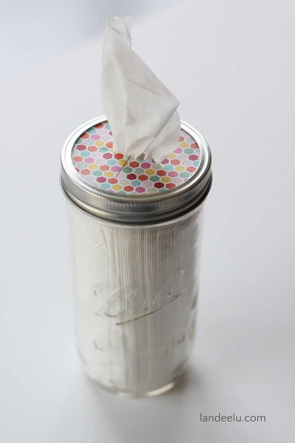 DIY-Mason-Jar-Tissue-Holder