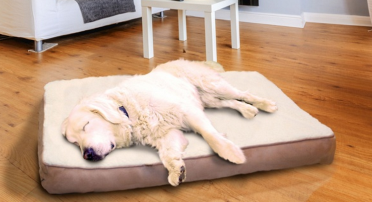 Orthopedic Pet Bed with a Sherpa Top and Suede or Sherpa Print Flannel