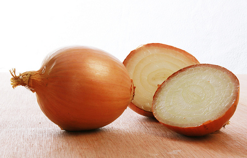 onion photo