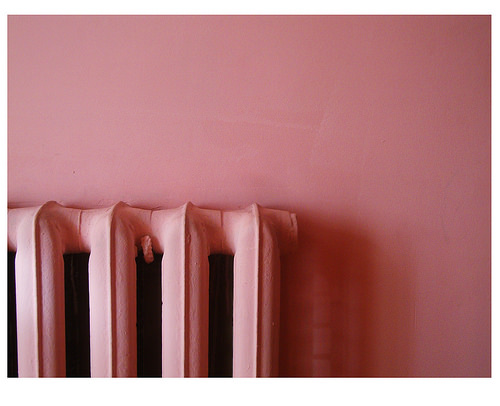 pink wall photo