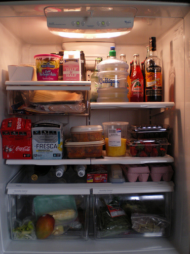 refrigerator photo