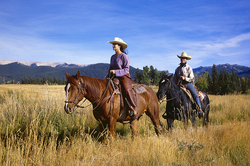 horseback riding photo
