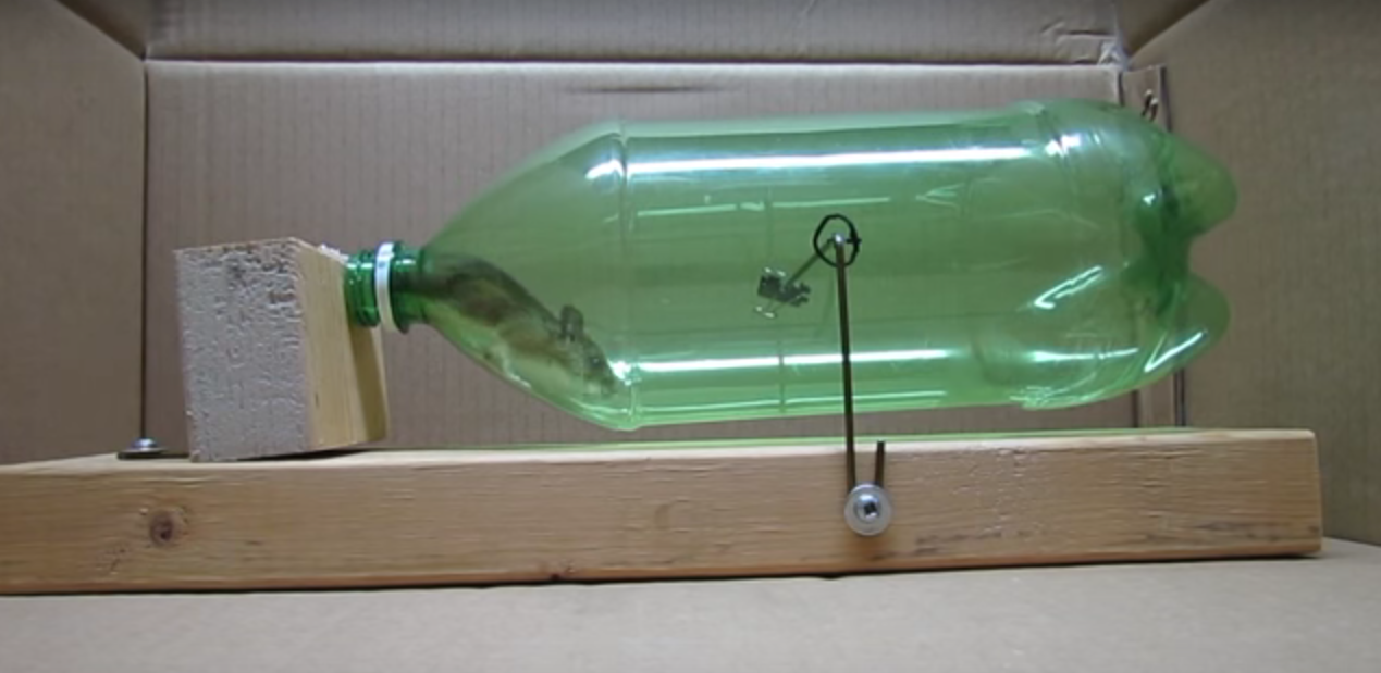 How To Make A No-Kill Mouse Trap To Get Rid Of Mice Without Harm