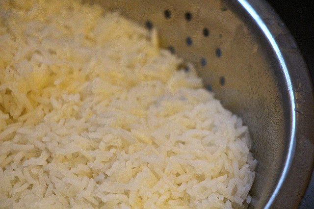 close up rice