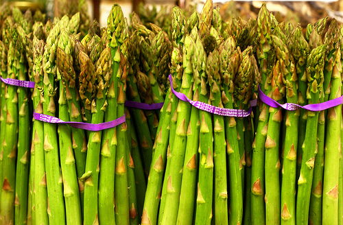 asparagus photo