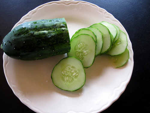 cucumber photo