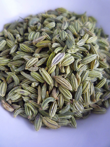 fennel seeds photo