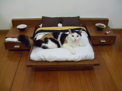 custom cat furniture bed design 2