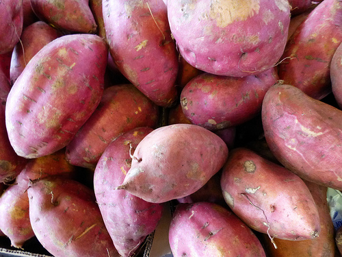 sweet potatoes photo