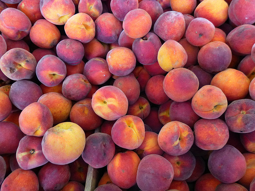 fresh peaches photo