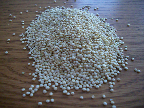 quinoa photo