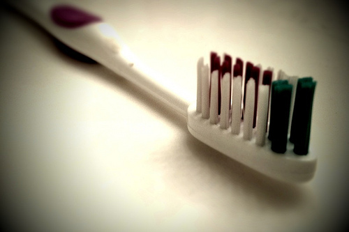 toothbrush photo