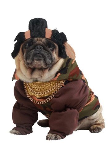 pity-the-fool-dog-costume