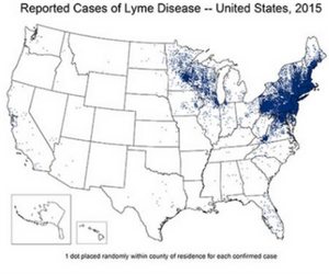 Lyme Disease 2015 | CDC