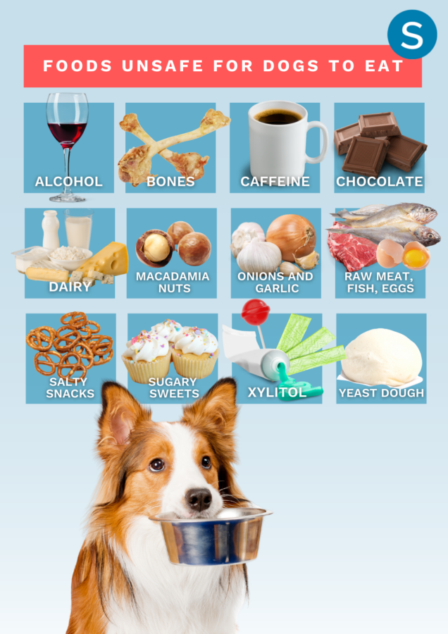 infographic showing foods unsafe for dogs
