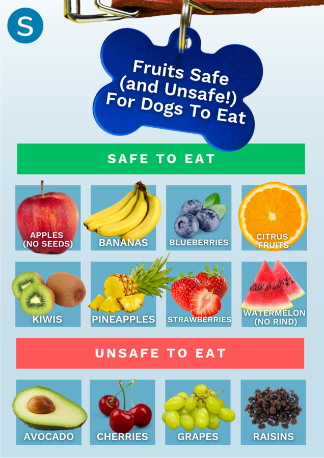 infographic showing fruits safe and unsafe for dogs