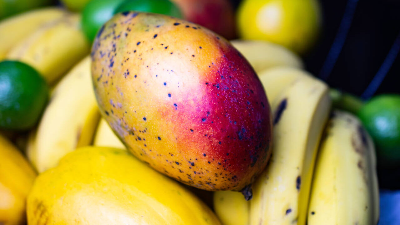 mango, bananas and other tropical fruits