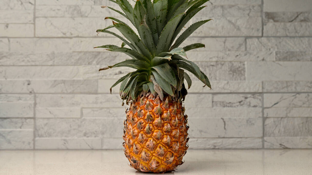 whole pineapple on kitchen counter