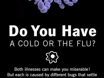 How To Tell If You Have The Flu Or A Cold [INFOGRAPHIC]