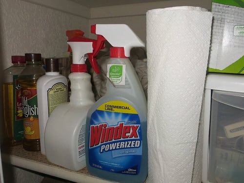 cleaning supplies photo