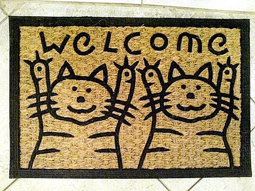 welcome mat photo
