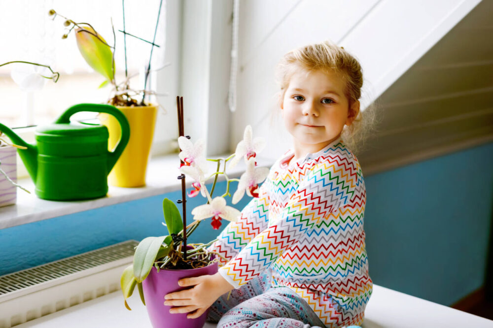toddler sits holding potted orchid