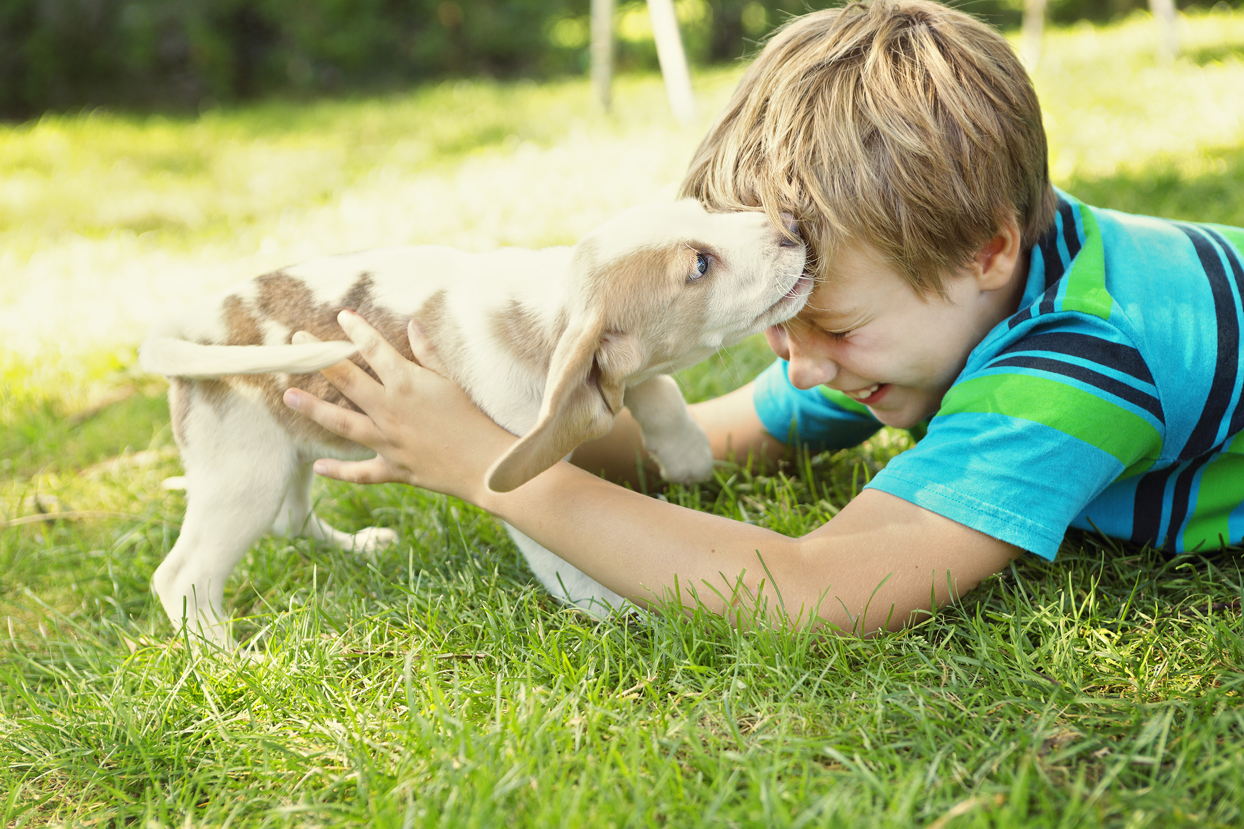 Having A Dog Can Help Improve A Child's Mental Health
