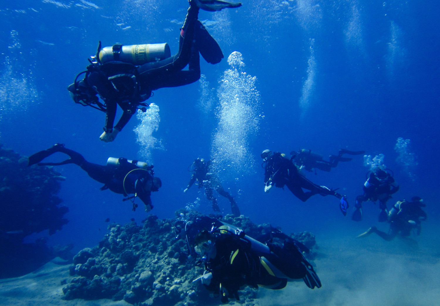 scuba diving photo