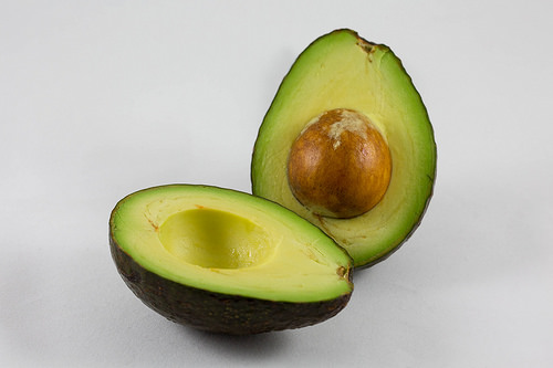 avocado photo