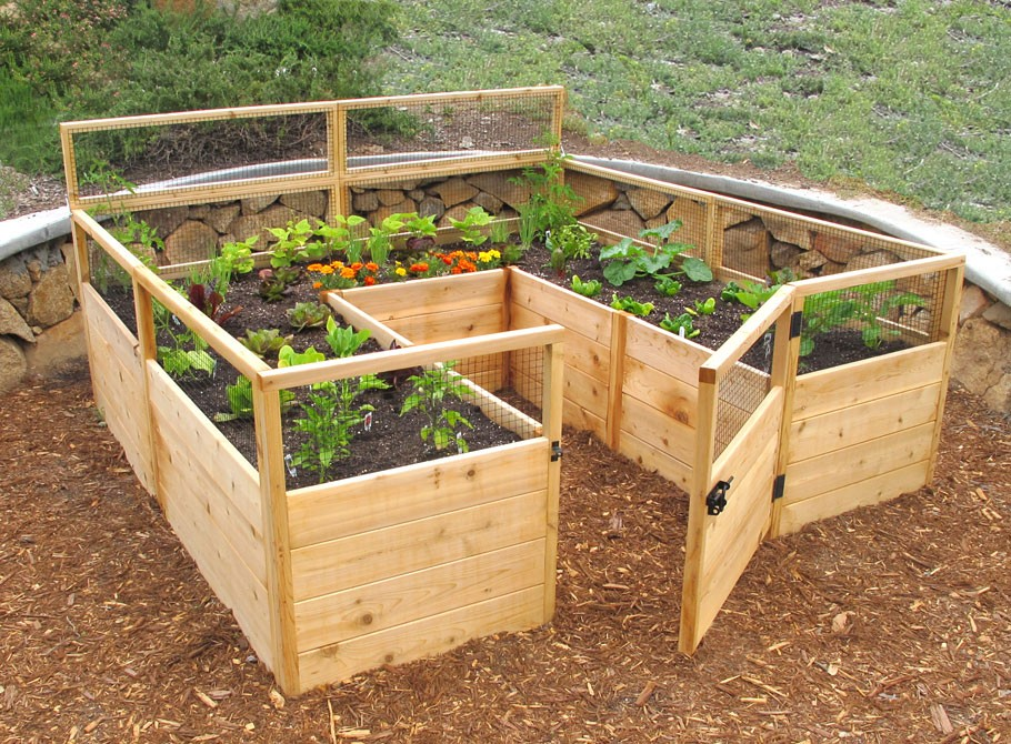 7 Raised Garden Bed Kits That You Can, Backyard Garden Box Design