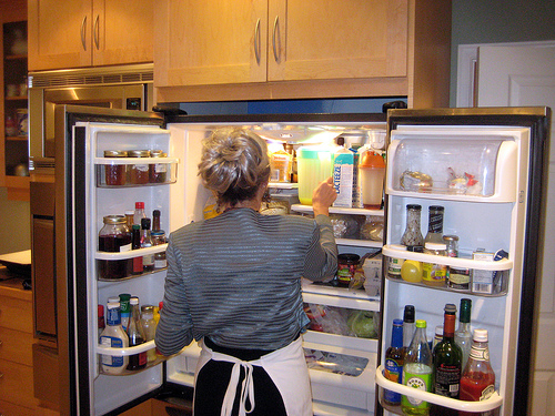 fridge photo