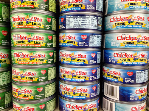 canned tuna photo