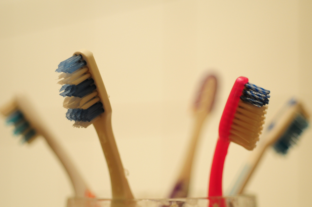 toothbrushes photo