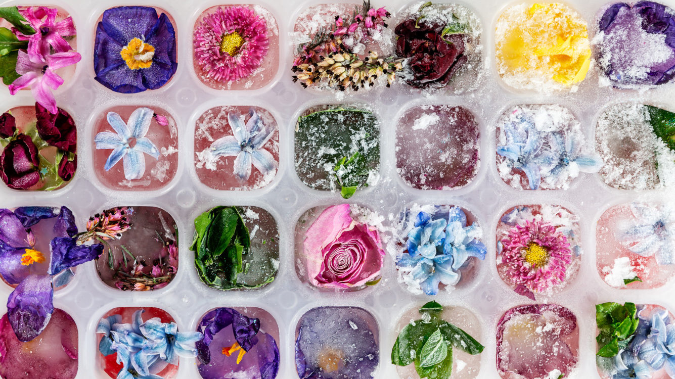 6 Alternative Ways To Use Your Ice Cube Trays Around The House