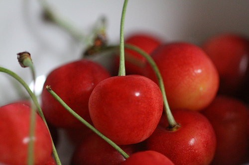 cherries photo