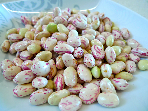 beans photo