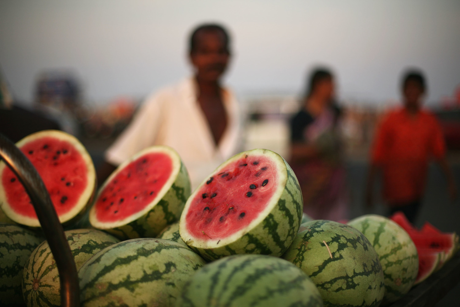 watermelons photo