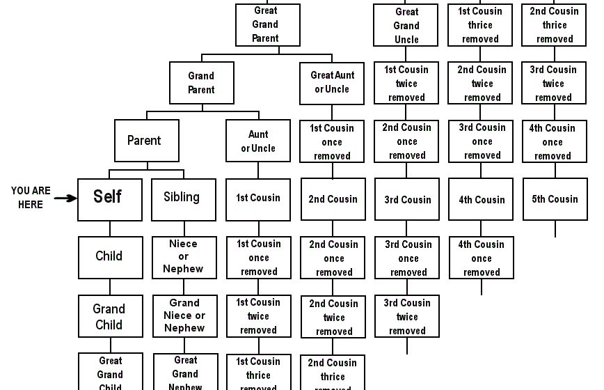 What Are Second Cousins Vs. Cousins Once Removed - Simplemost