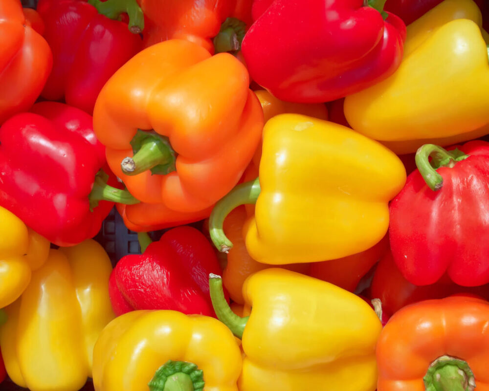 red, orange and yellow bell peppers