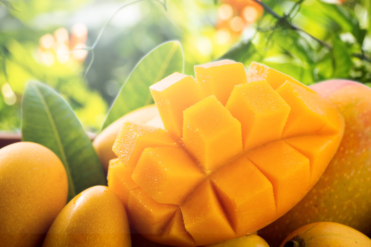 Fresh and beautiful mango fruit