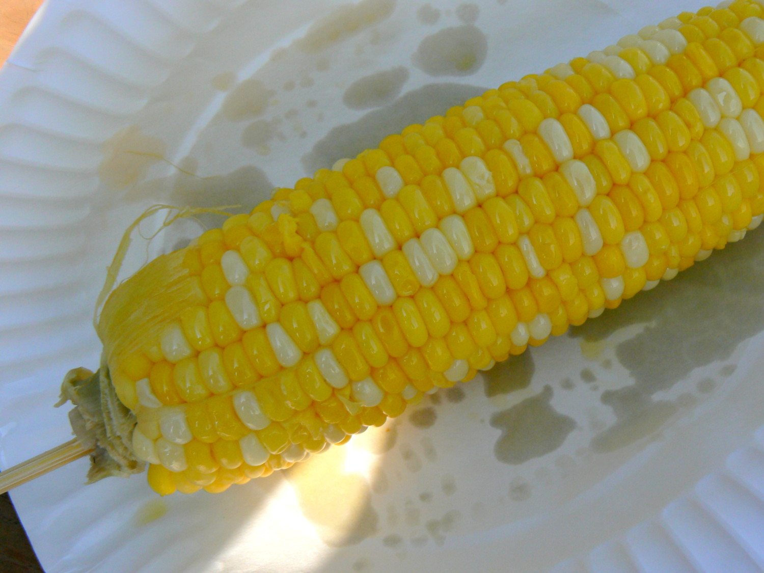 corn on the cob photo