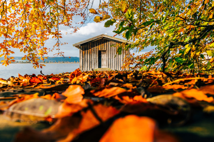 boathouse autumn