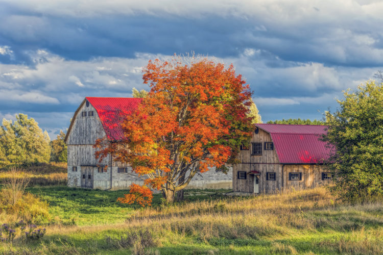 Rustic barn in the country with full autumn colour.