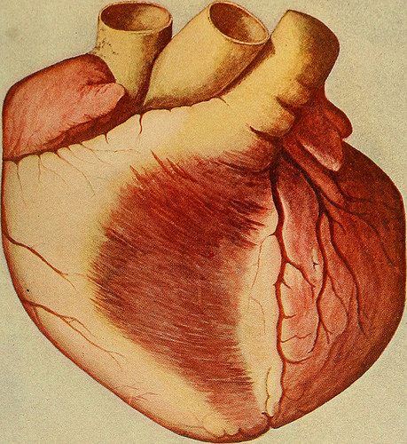 heart photo