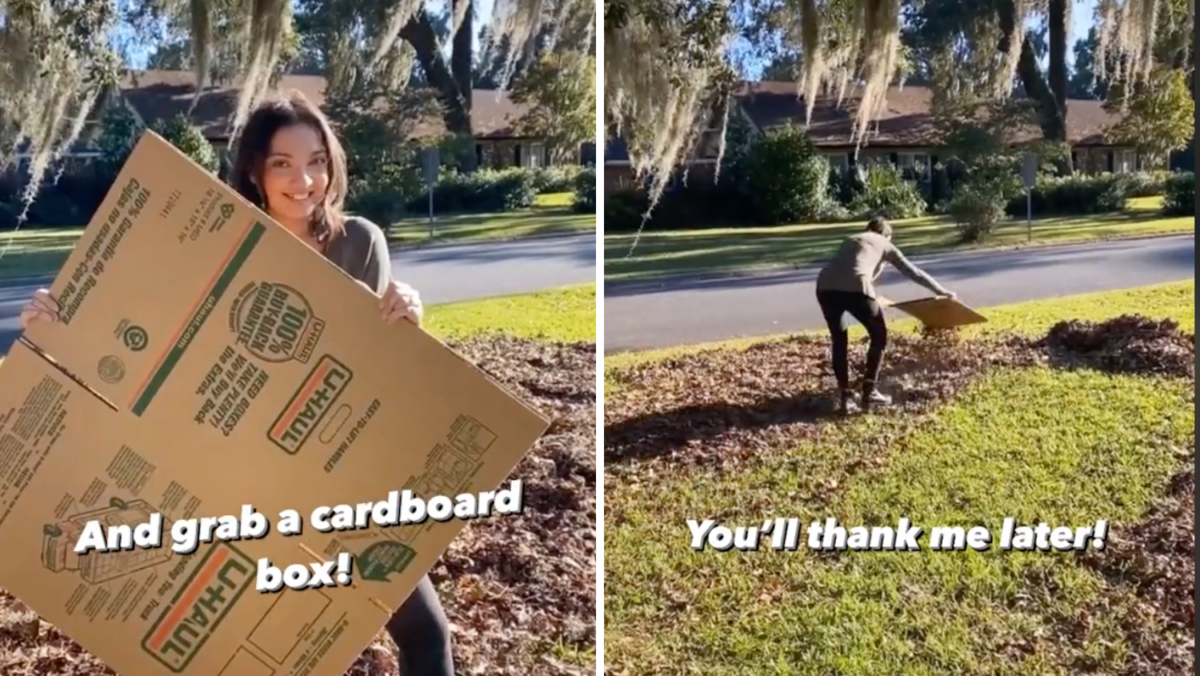 Virginia Lane shows cardboard box hack for 'raking' fall leaves
